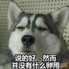 别想逃