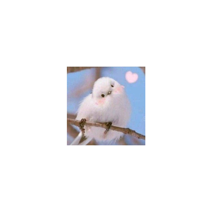 沐药药