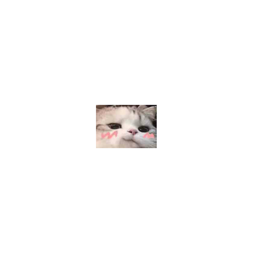 手机用户38769695