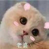 落荒