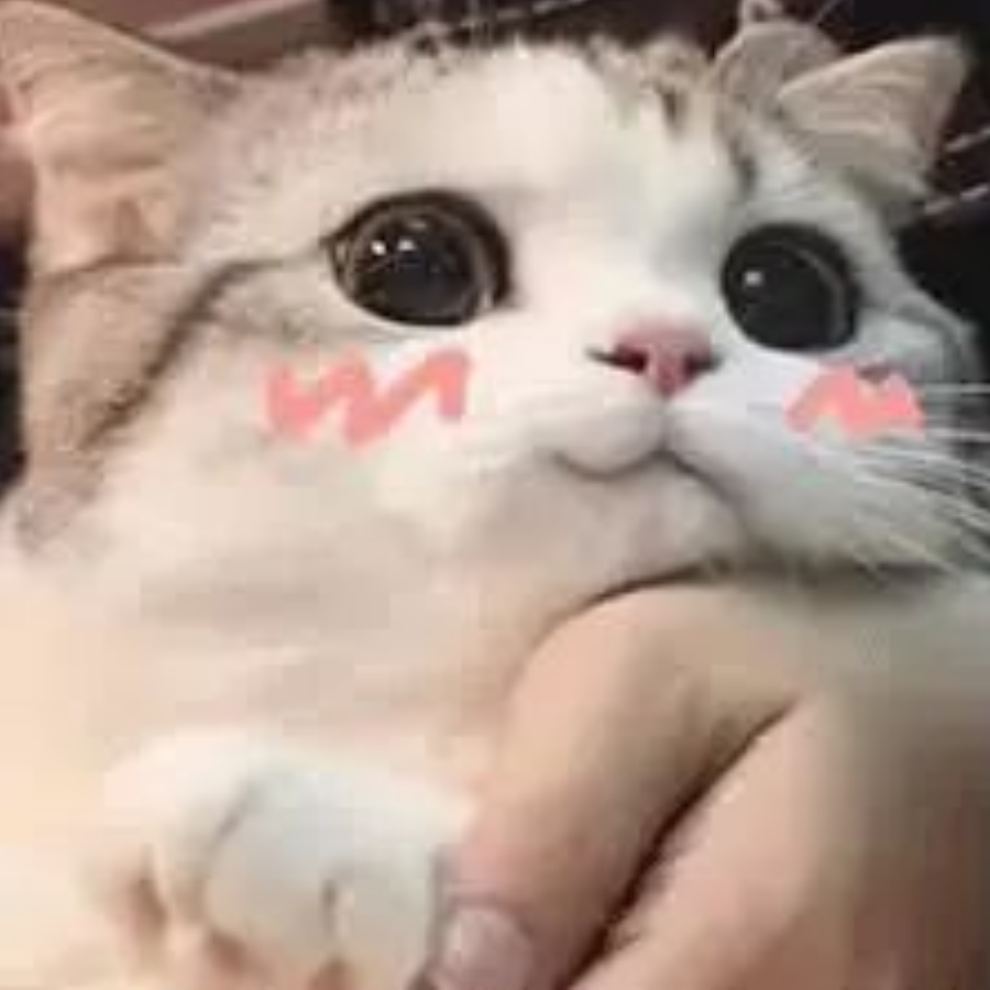 江南烟笼雨