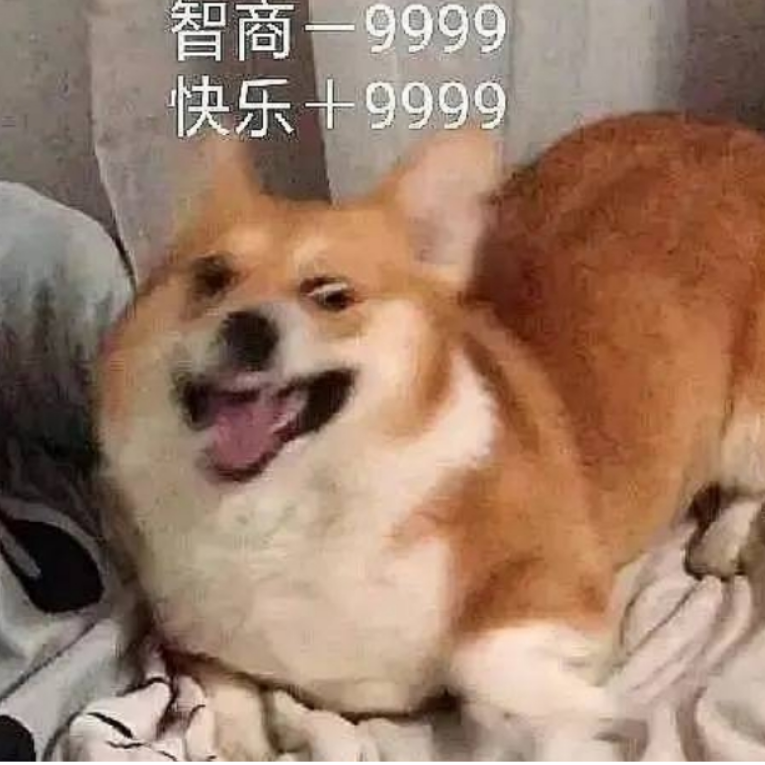 泽泽子