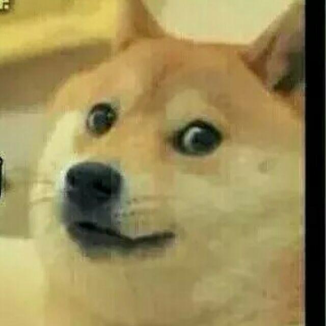 潜行的花爷