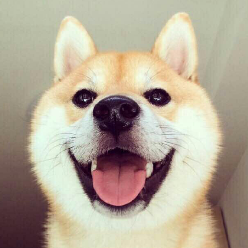 呆头渔夫庄周