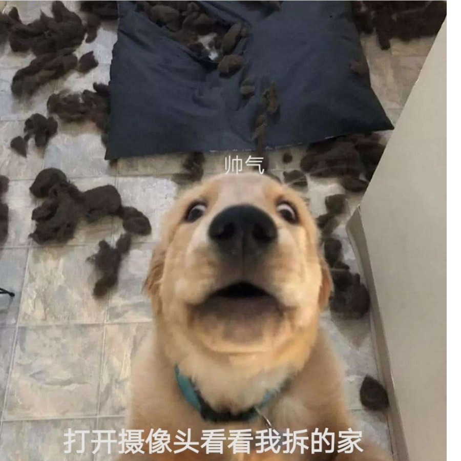 清风