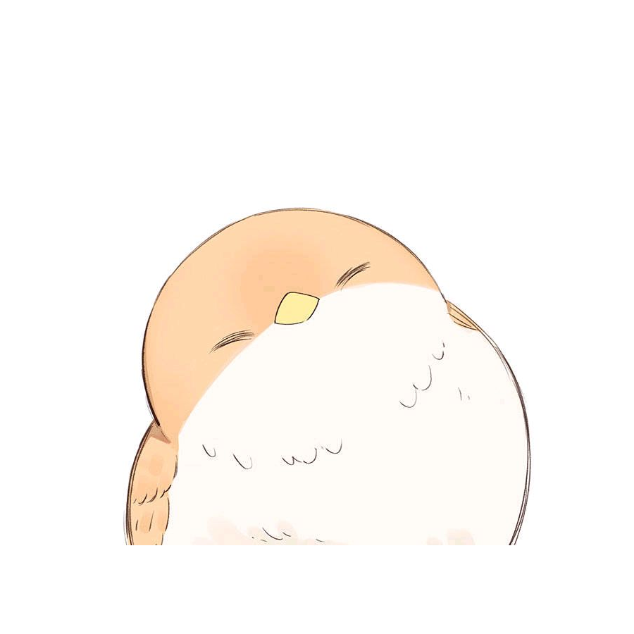 一片杏叶子