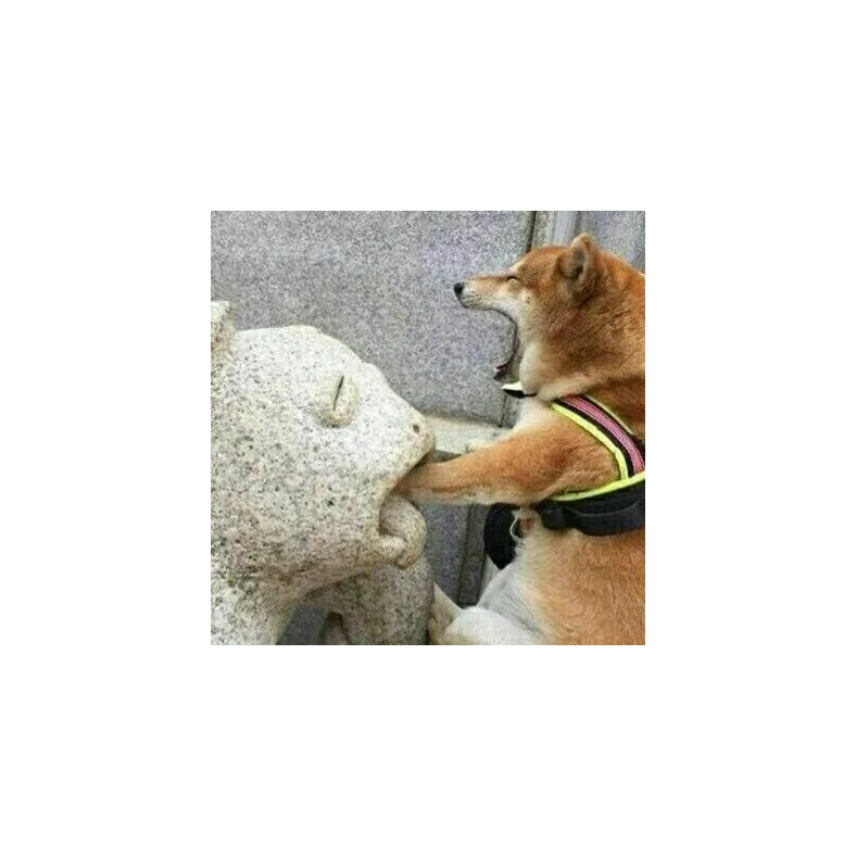 咕咕咕