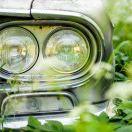 小黄黄黄黄黄黄黄黄黄