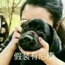 王鸿一