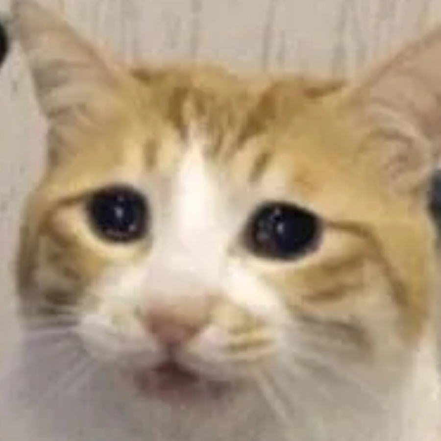 安语