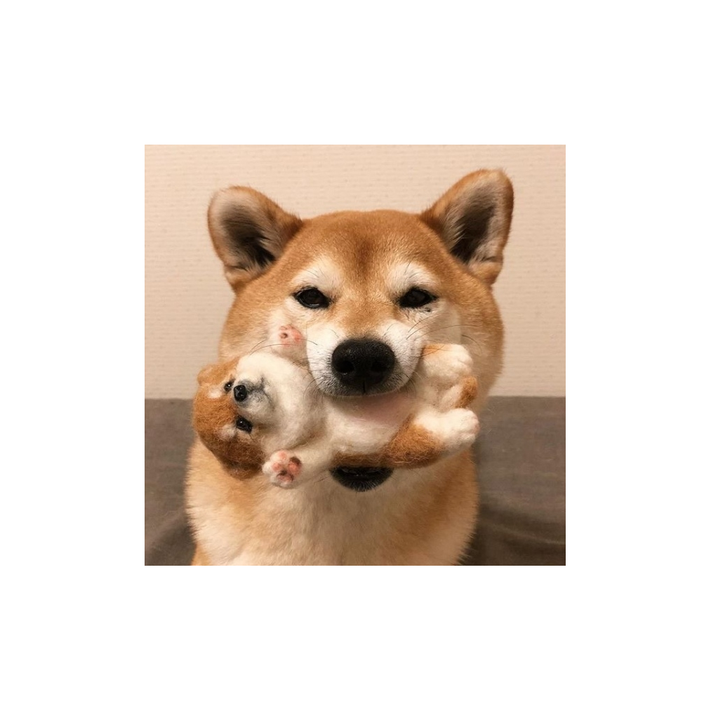 阿豪很优秀
