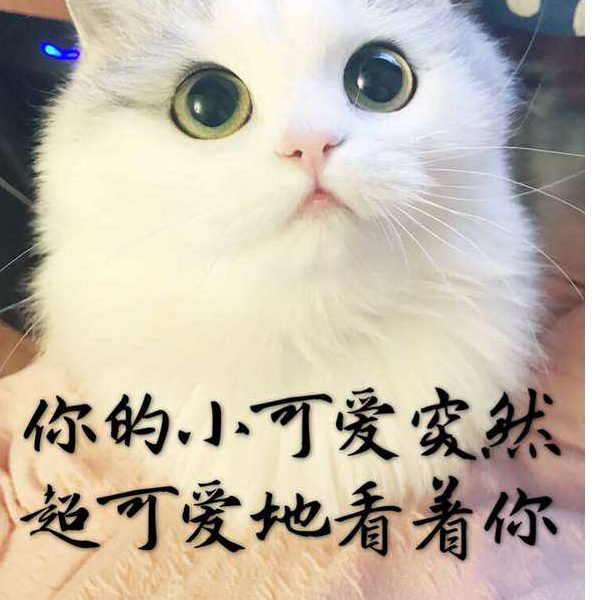 唐昊