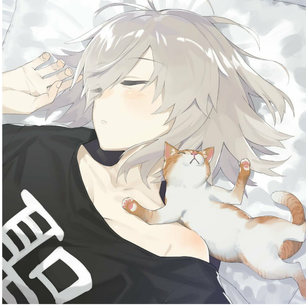 寿司猫