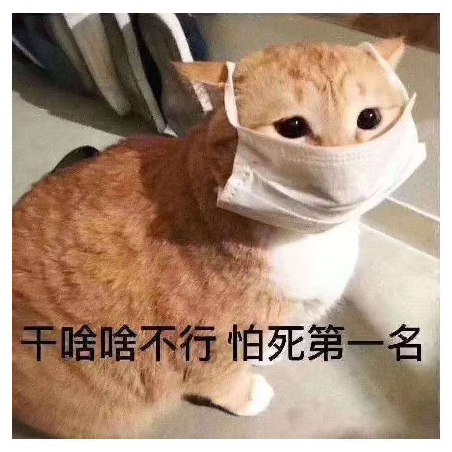 熙熙