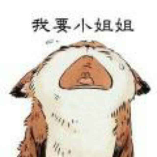 呦~
