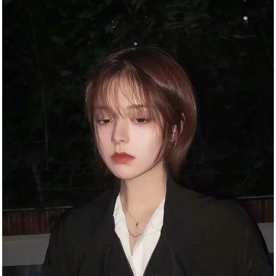 云鹤踏月归