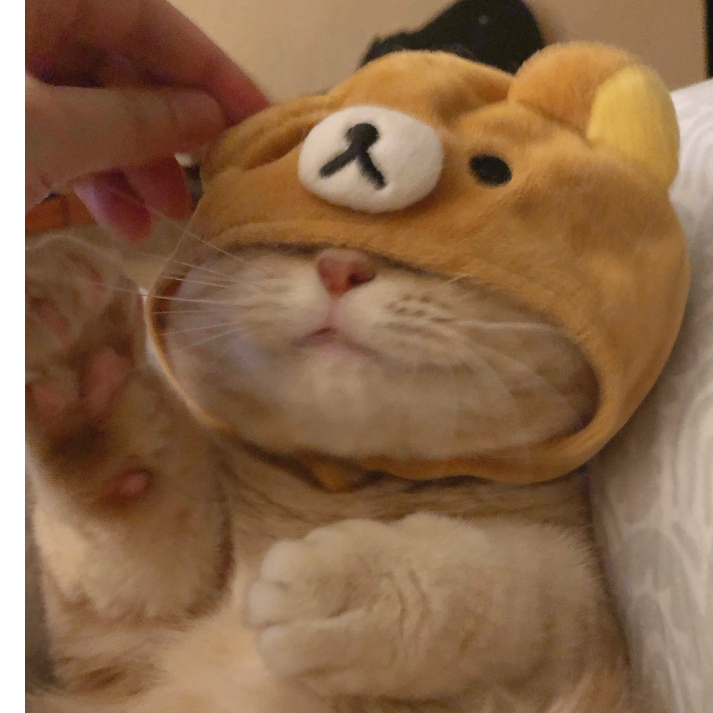 葡萄