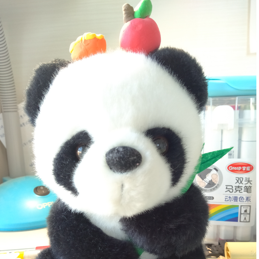 zk小牛牛