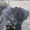 我真谢谢了