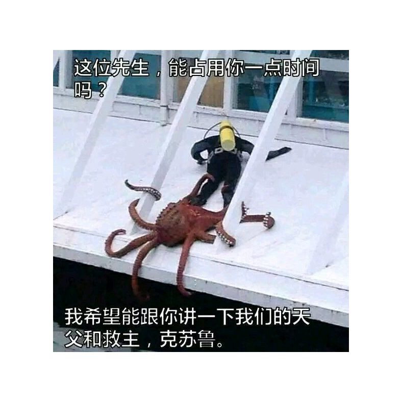 手机用户32475121
