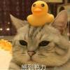 月落ヅ乌啼デ