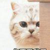 略略略