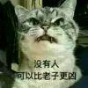 虐喵狂魔薛定谔