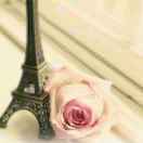 微笑、然后遇见