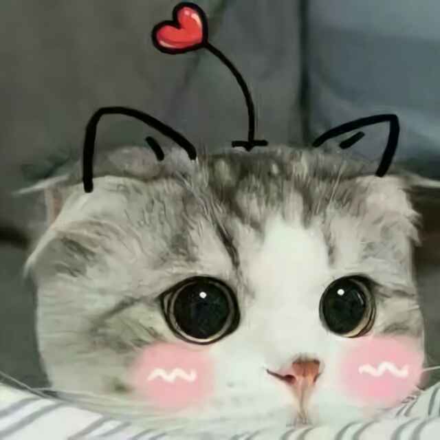 挚爱