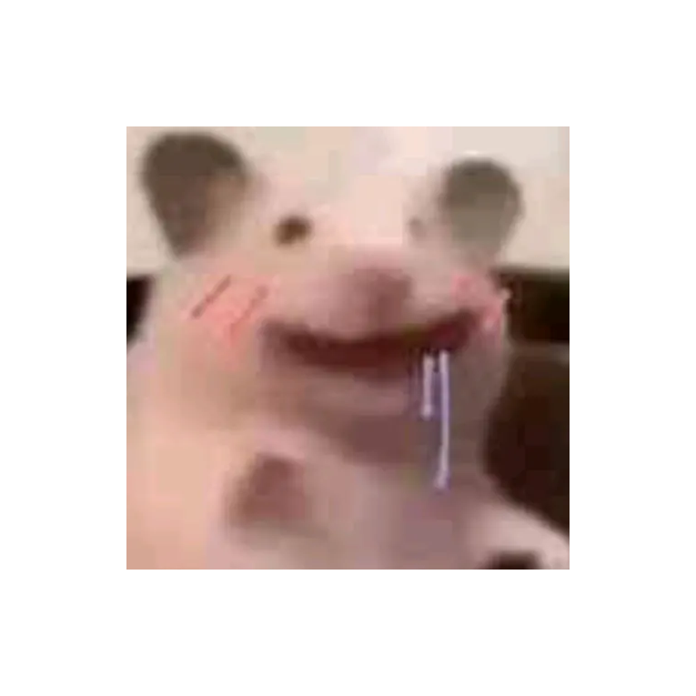 聪酱