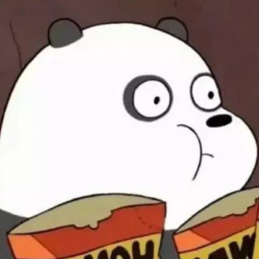 波崽