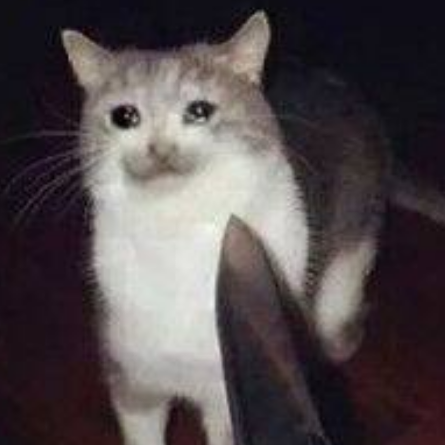 雾隐