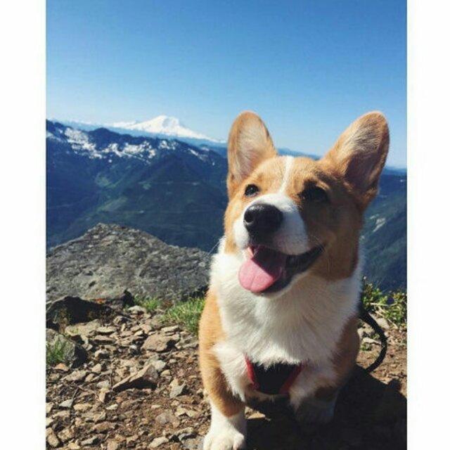 盘点已经关服的fps射击网游(搬运于百度贴吧 冰