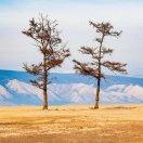 不做欧皇不洗头