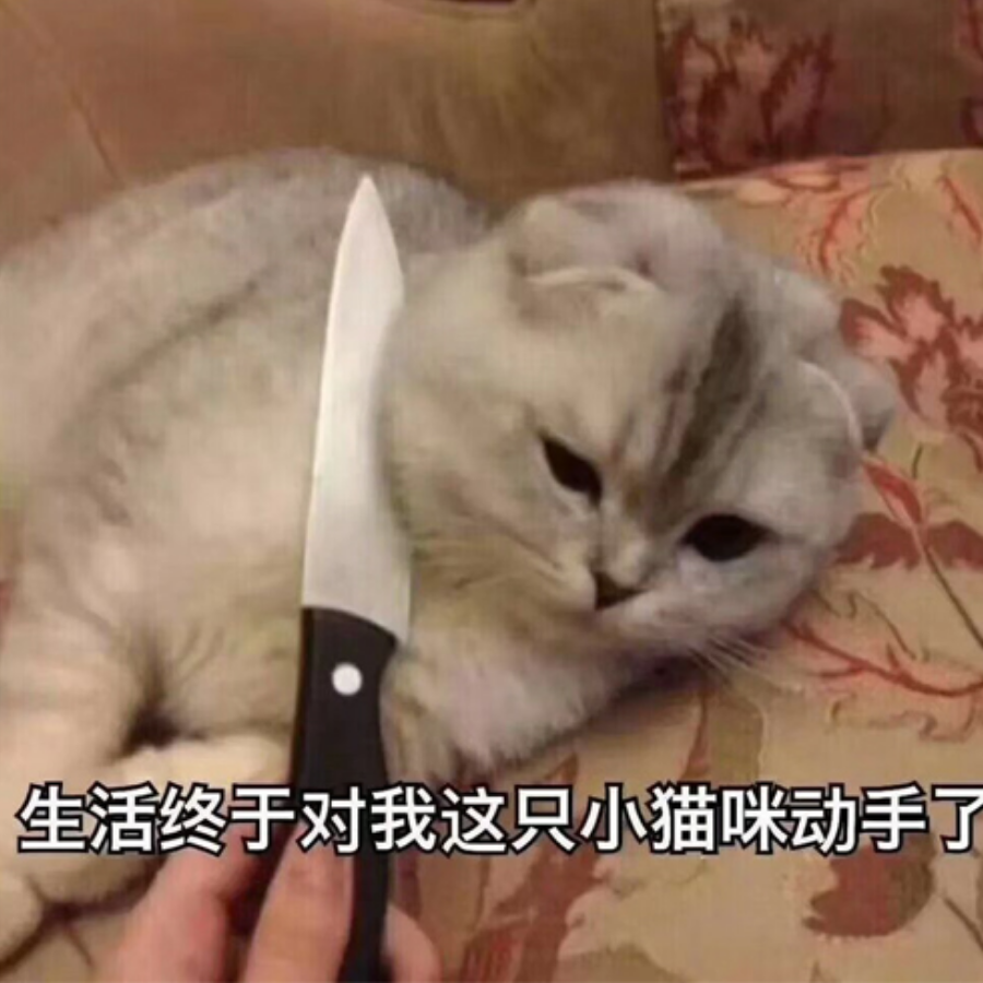 小不点