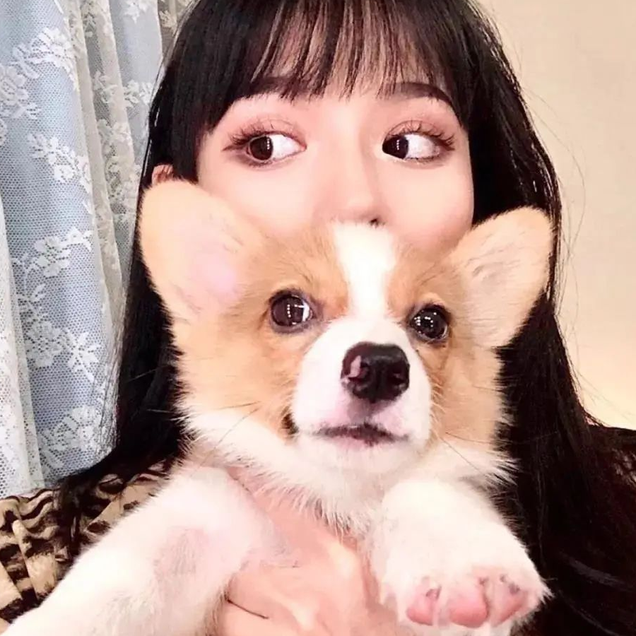 执念