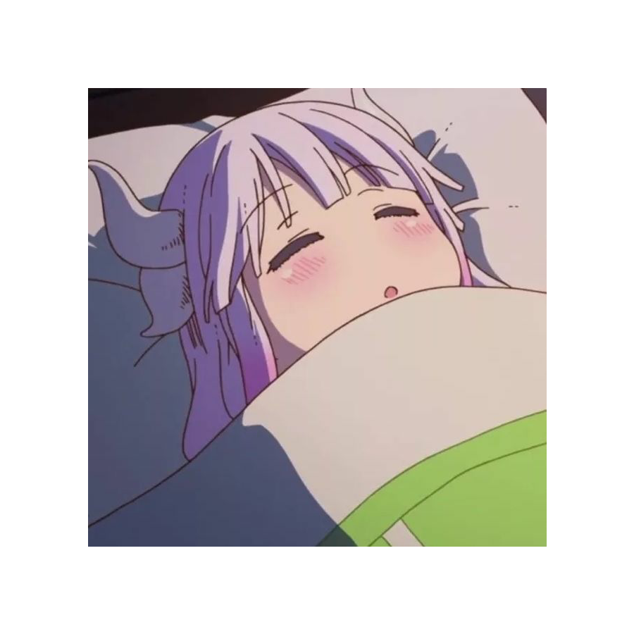 袜子爱散步
