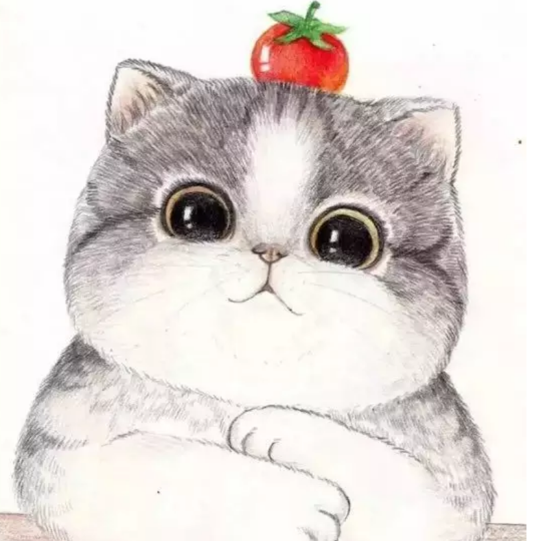 枫舞