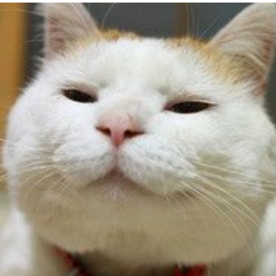 卷啊卷啊