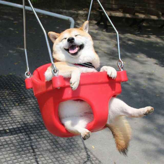 一乐