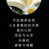 刀锋所指