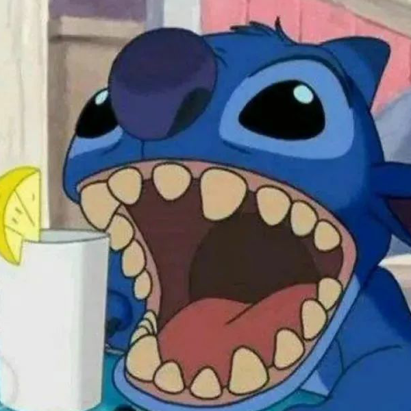 史迪仔一生挚爱