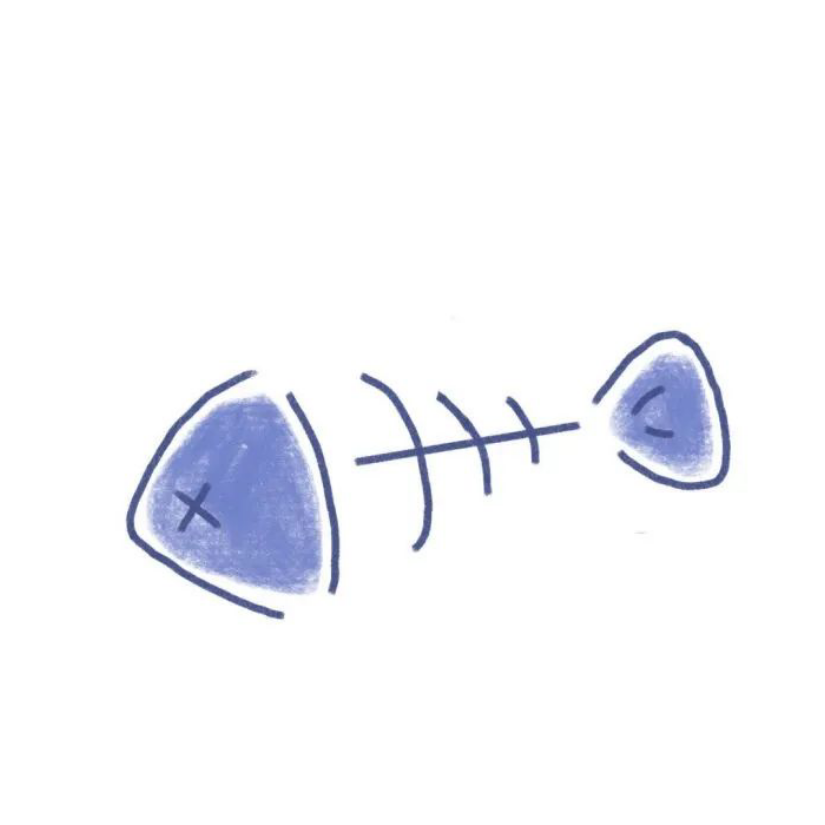 南络络络