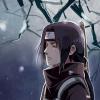 User30498636
