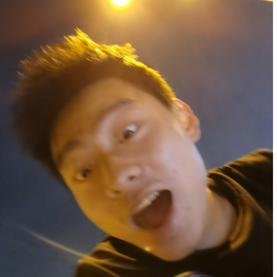 一只小熊猫