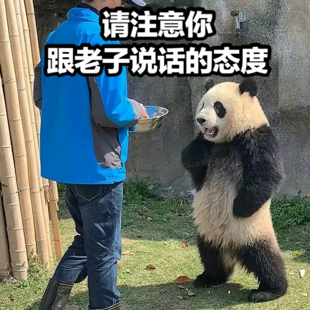 如彪一般的保险