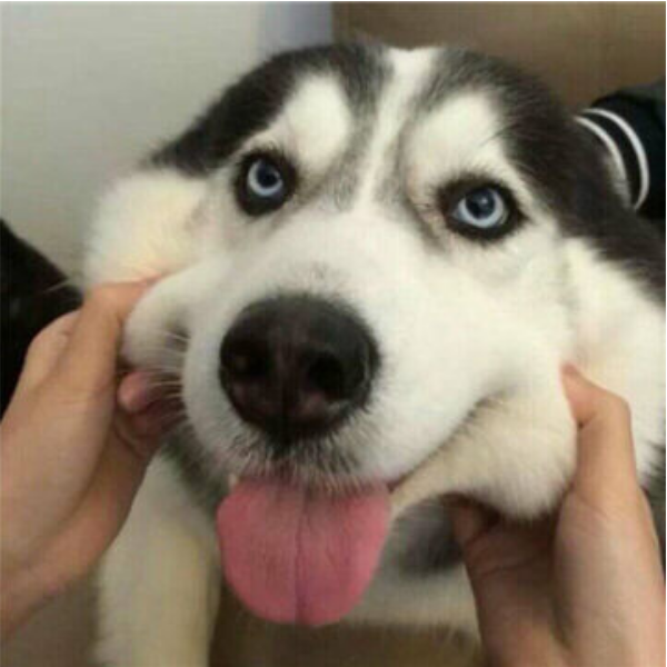 守