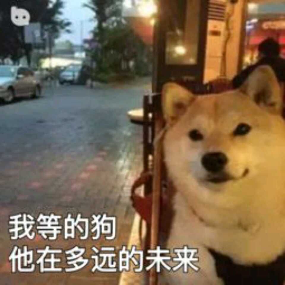 蒂花之秀