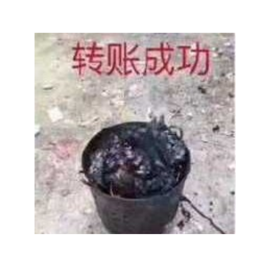 空腹可以吃饭吗