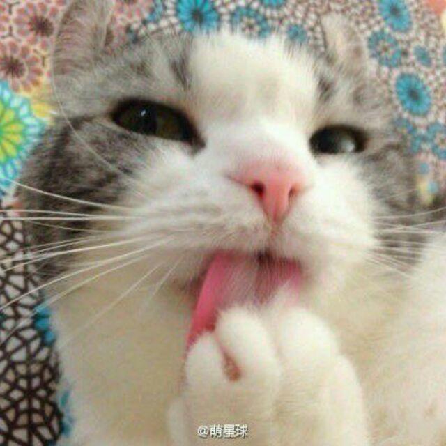 从此我叫没朋友